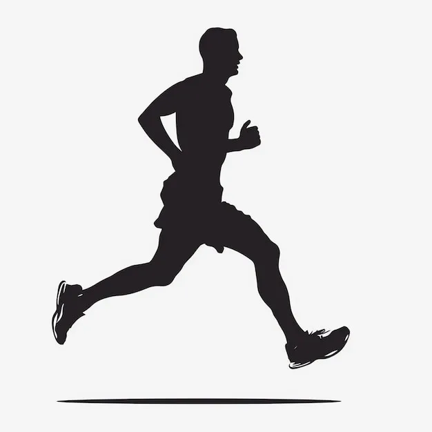 IM体育官方APP 指南横幅